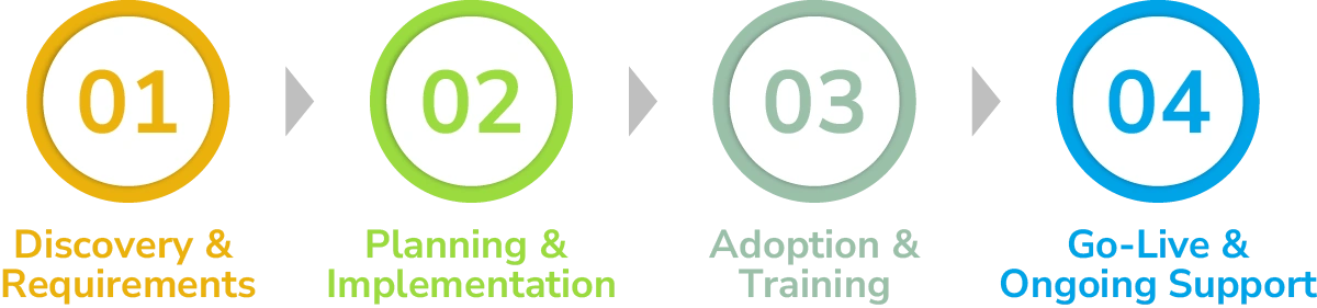 Introv's NetSuite ERP Implementation Steps