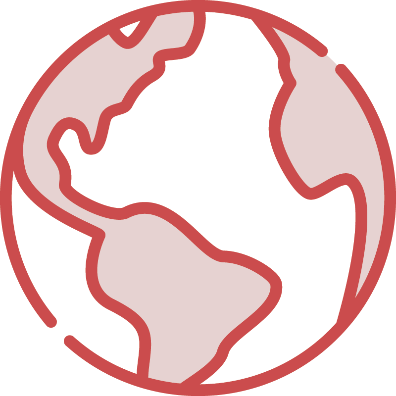 193 Language and Format Support