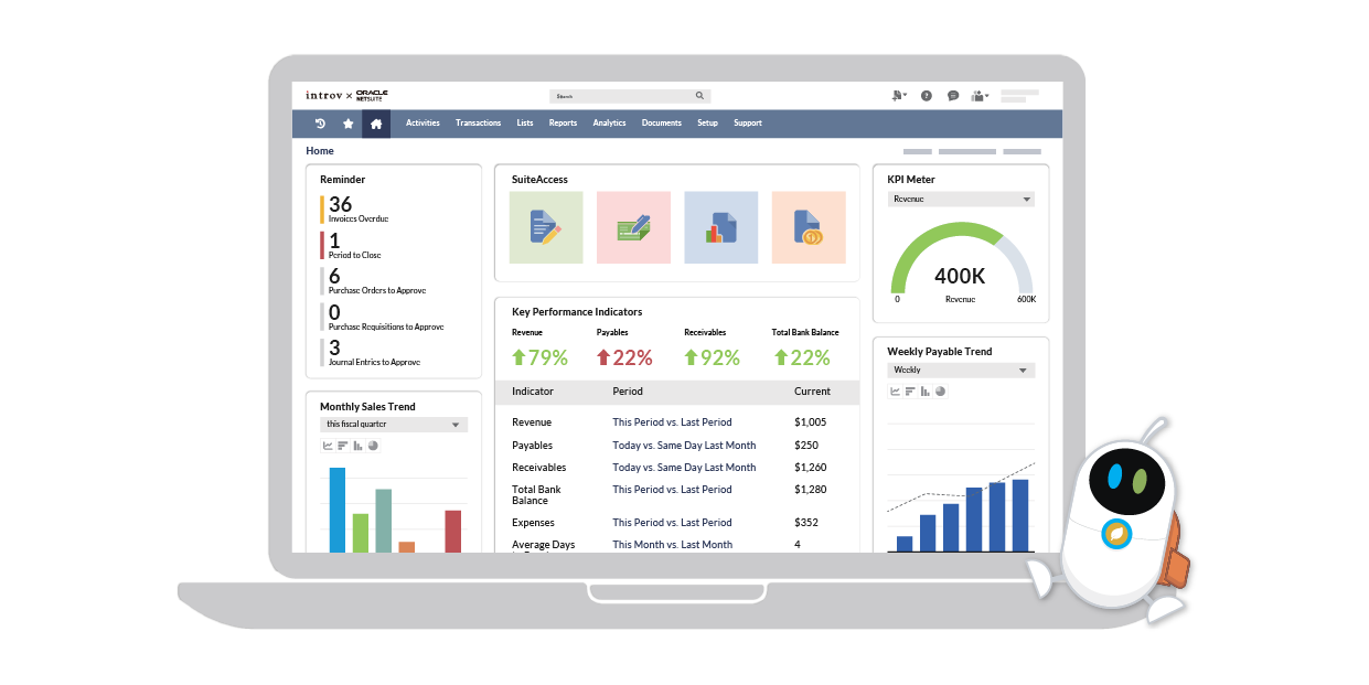 Introv ERP Solutions