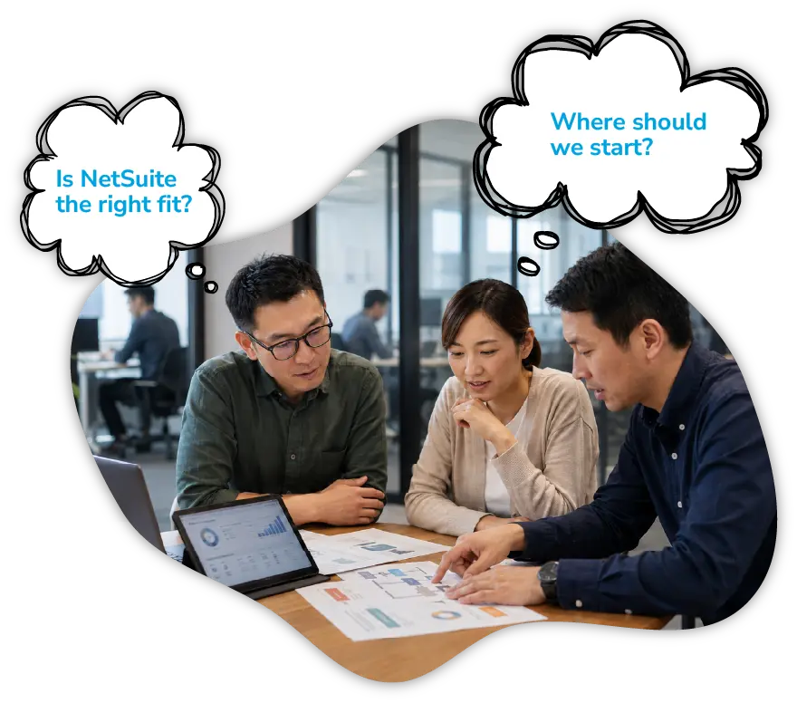 Introv X Oracle NetSuite