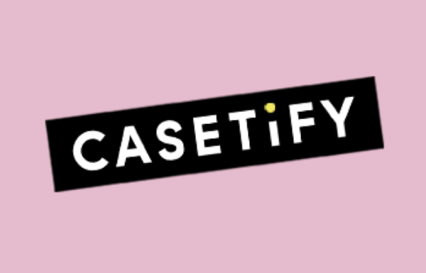 casetify netsuite introv erp solution success business