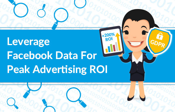 Leverage Facebook Data for Peak Advertising ROI