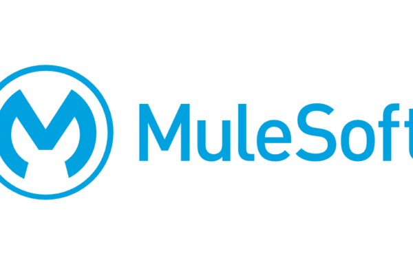 Introv Partners with MuleSoft to Unlock Connectivity Potentials