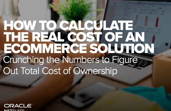 eBook: HOW TO CALCULATE THE REAL COST OF AN ECOMMERCE SOLUTION