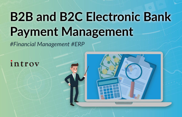 E-Payment Integration: B2B and B2C Electronic Bank Payment Management